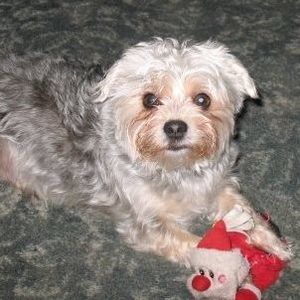 Meet your Posher, Patty